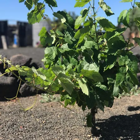 Eslanzarote Eco Dome Experience テギセ