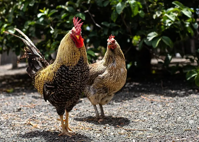 Eslanzarote Eco Dome Experience База отдыха