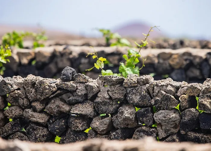 База отдыха Eslanzarote Eco Dome Experience