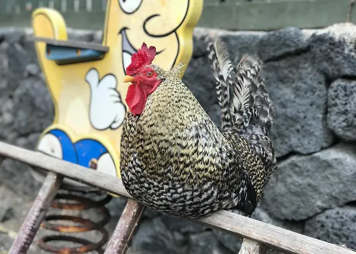 Kompleks wypoczynkowy Eslanzarote Eco Dome Experience