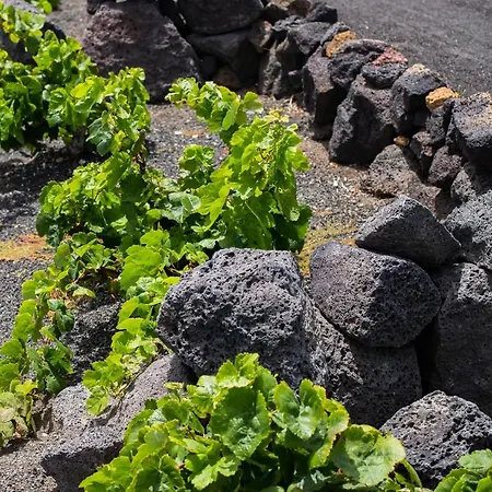 Eslanzarote Eco Dome Experience Parco vacanze *