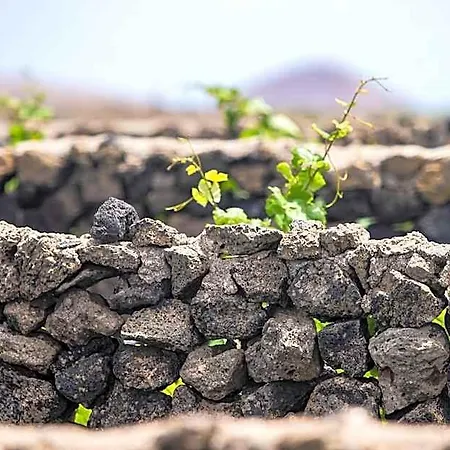 Eslanzarote Eco Dome Experience * Teguise (Lanzarote)