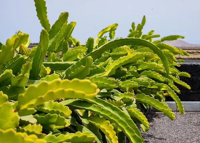 Eslanzarote Eco Dome Experience * Teguise (Lanzarote)