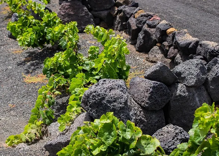 Eslanzarote Eco Dome Experience منتزه العطل *