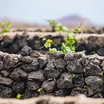 Holiday park Eslanzarote Eco Dome Experience