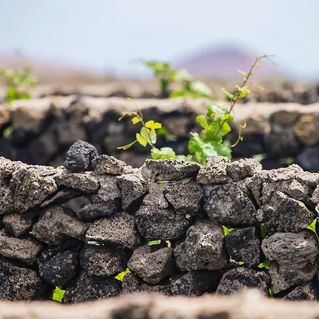 База отдыха Eslanzarote Eco Dome Experience