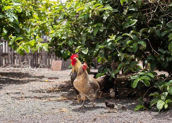 Eslanzarote Eco Dome Experience Aldeamento Turístico *